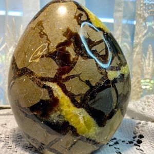 Beautiful Lg Septarian Freeform